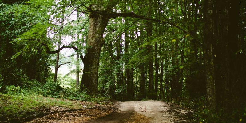 破局“卡脖子”:高端探测器、离子源与色谱柱的国产化突围战