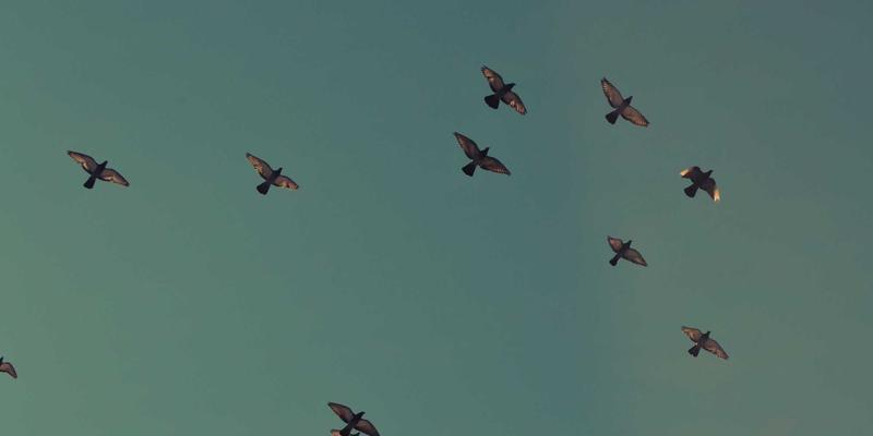 筑牢科研生命线：科学仪器配套特种气体与危化品全流程安全管理指南