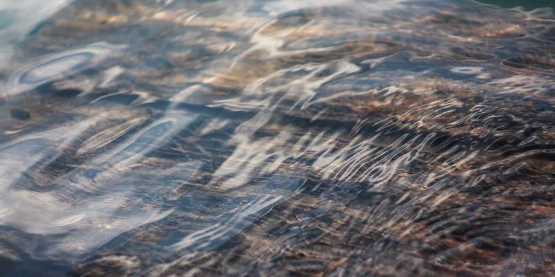 精密仪器大迁徙：生命科学实验室搬迁全流程实战指南